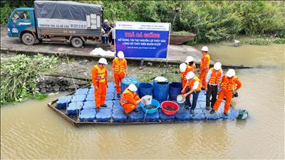 THẢ CÁ GIỐNG TRÊN LÒNG HỒ THỦY ĐIỆN BUÔN KUỐP: HÀNH ĐỘNG NHỎ - Ý NGHĨA LỚN VÌ MÔI TRƯỜNG BỀN VỮNG